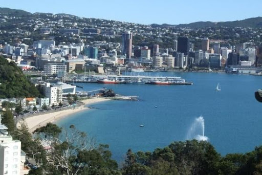 Views over Wellington harbour from half way up Mt Victoria Lookout Walkway in Wellington