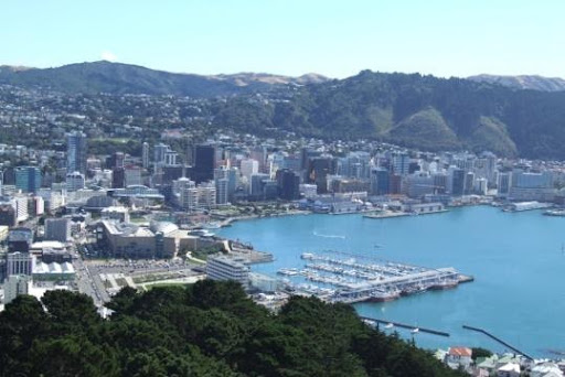 Views over Wellington harbour from the Mt Victoria Lookout Walkway in Wellington