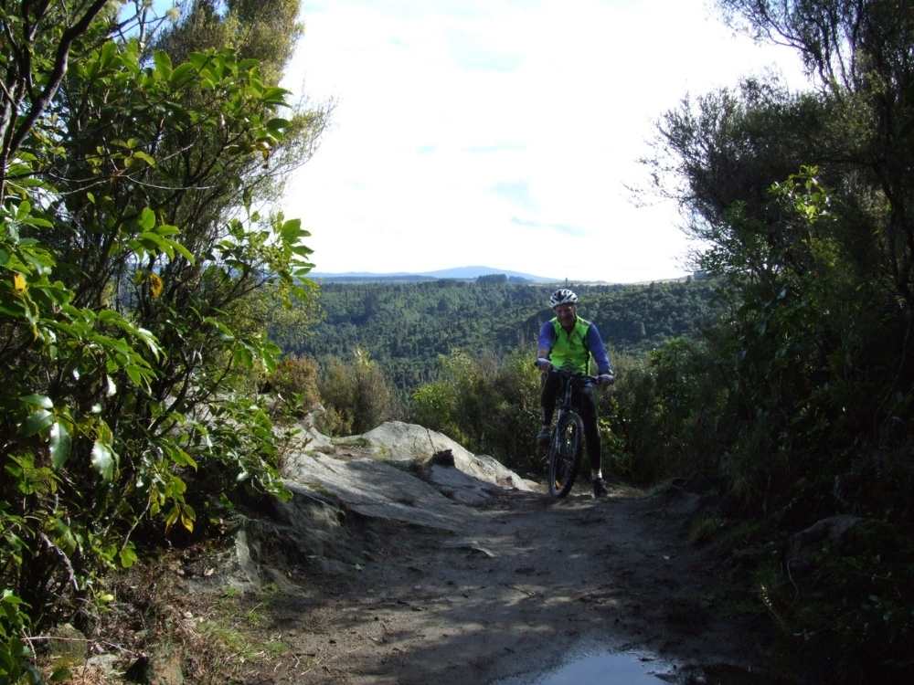 A biker at the lookout on the Kawakawa Bay Track walk - Taupo Walk - Freewalks.nz