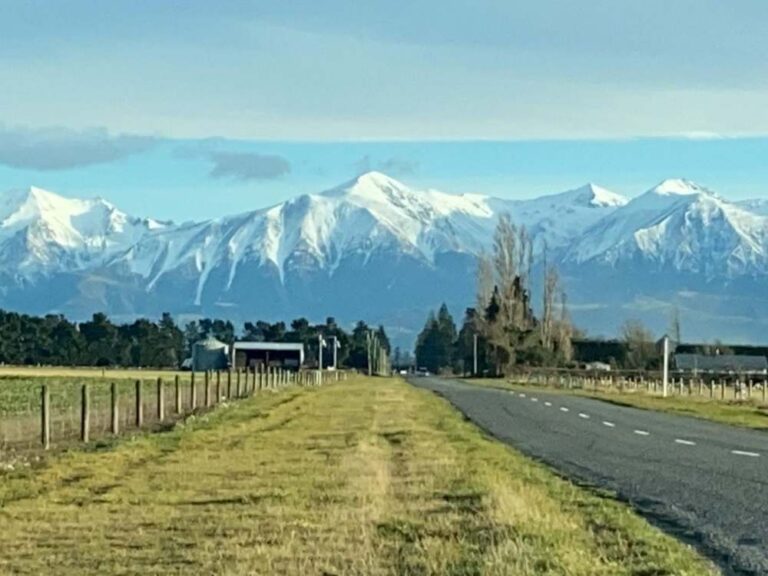 Road into Mt Oxford Summit Track with snow capped mountains in the background