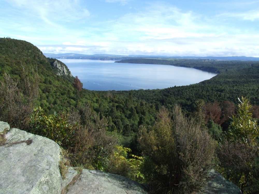 Views from the lookout on the Kawakawa Bay Track walk at Kinloch Beach - Taupo Walk - Freewalks.nz