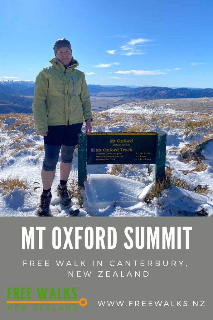 That's me at the summit of Mt Oxford track