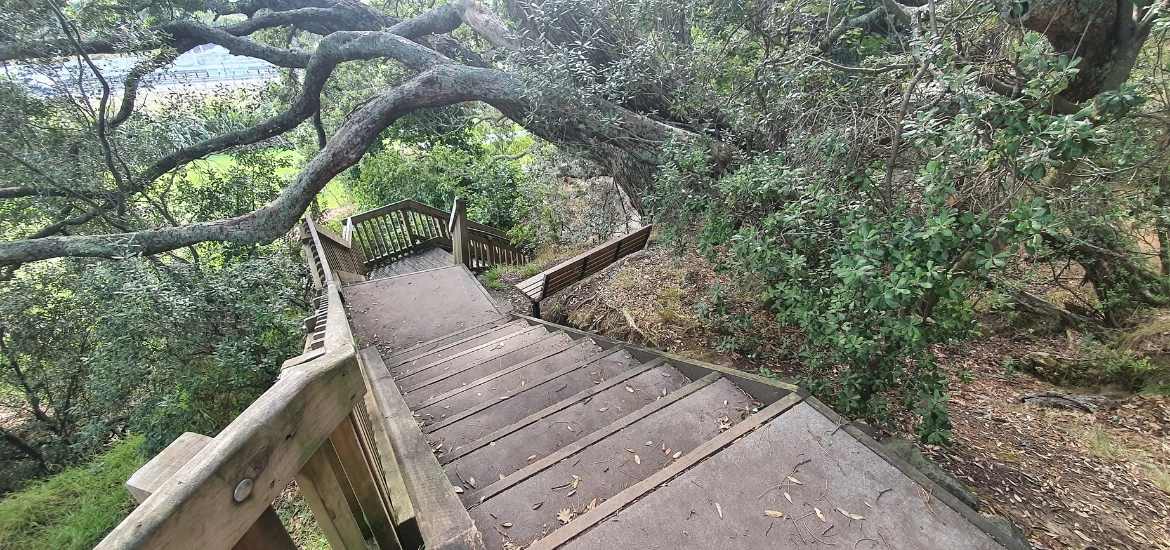 Point Erin Park to the footbridge - Westhaven Path Loop - Short Auckland Walk - Freewalks.nz