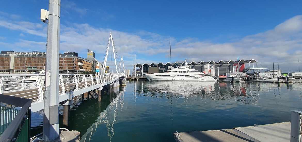 Standing on the other side of the white draw bridge - Short Auckland Walk - Freewalks.nz