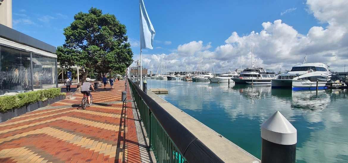 The footbridge back to the Viaduct Basin - Westhaven Path Loop - Short Auckland Walk - Freewalks.nz