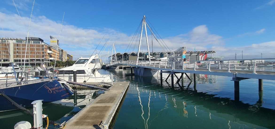 View of the new white draw bridge - Short Auckland Walk - Freewalks.nz