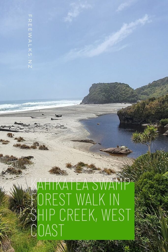 Kahikatea Swamp Forest Walk Haast Walks Freewalks.nz