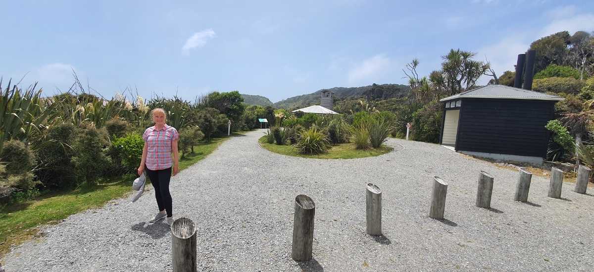 Kahikatea Swamp Forest Walk at Ship Creek - Short West Coast Walk - Freewalks.nz (2)