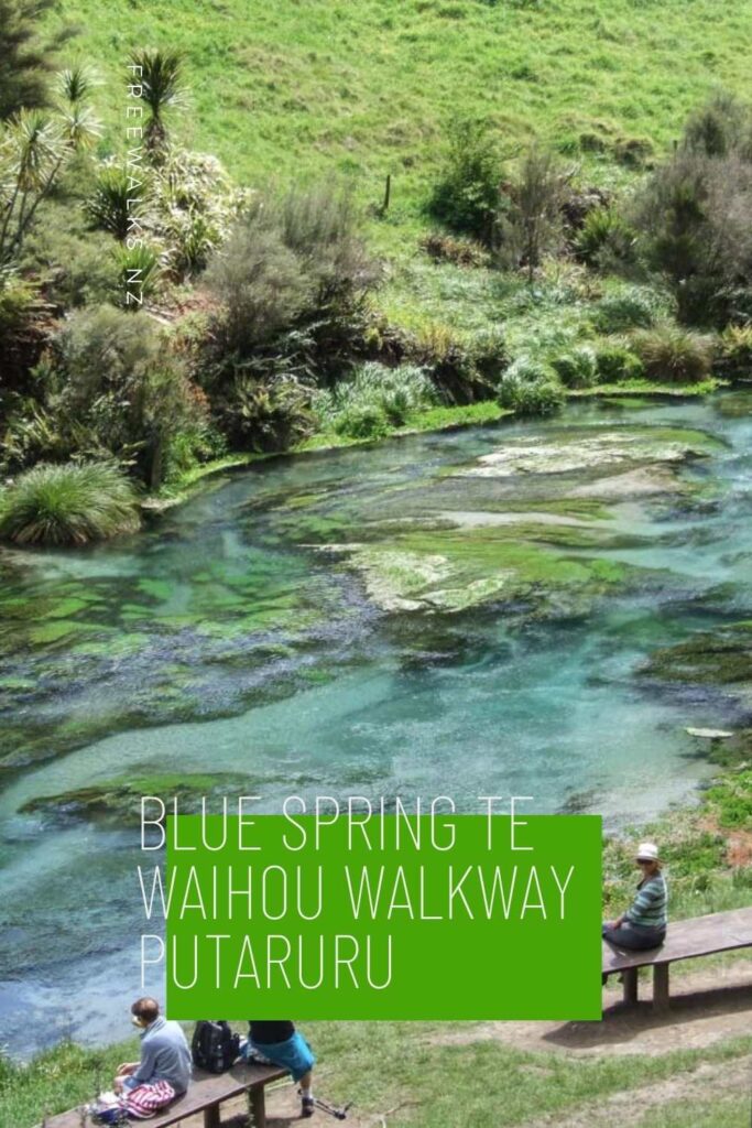 Pinterest pic of Blue Spring Te Waihou Walkway - Putaruru Freewalks.nz