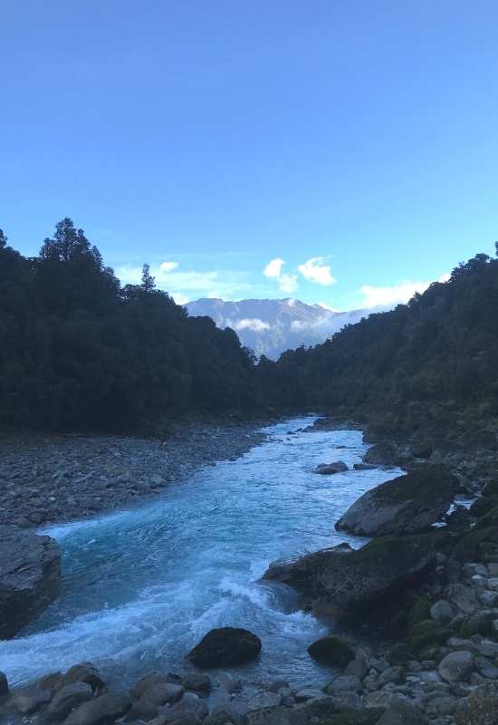 Copland Track to Welcome Flat Hut - Fox Glacier - West Coast Walk - Freewalks.nz (1)