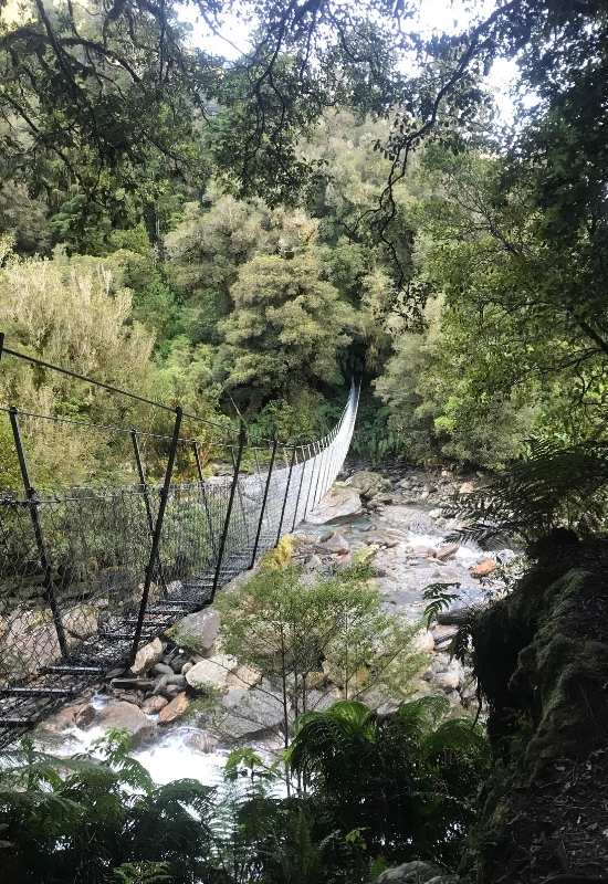 Copland Track to Welcome Flat Hut - Fox Glacier - West Coast Walk - Freewalks.nz