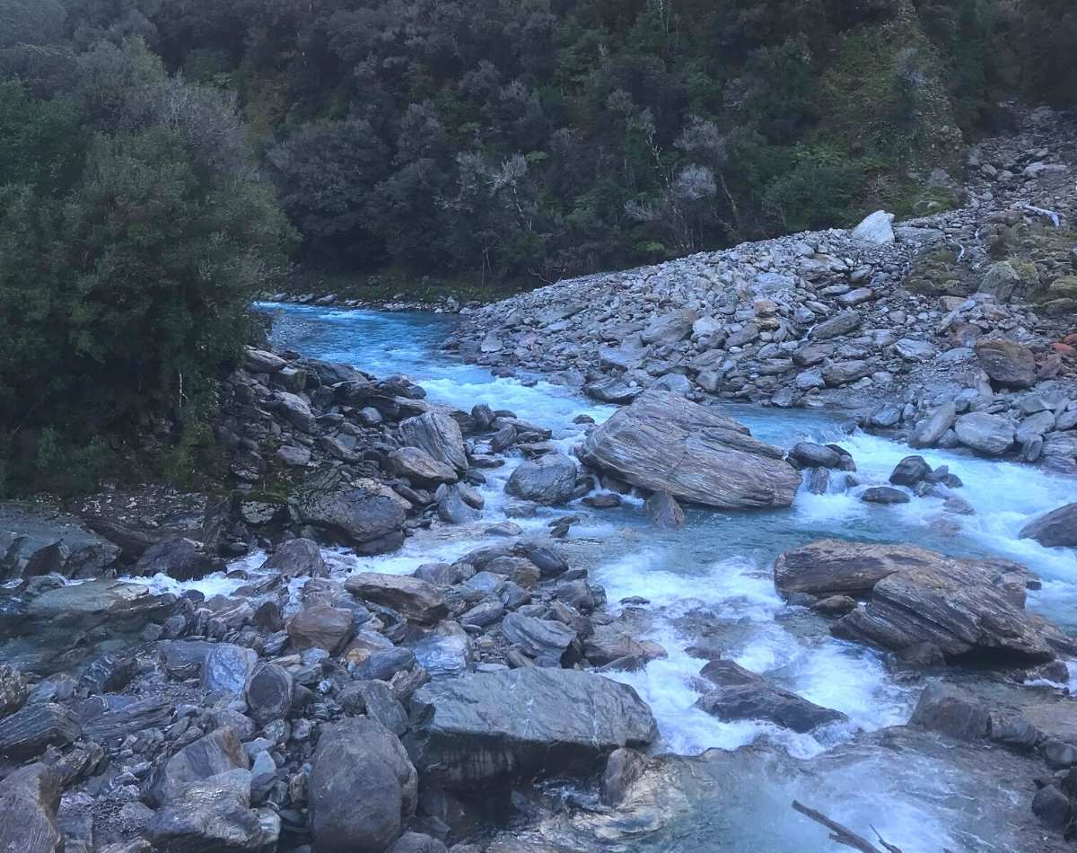 Copland Track to Welcome Flat Hut - Fox Glacier - West Coast Walk - Freewalks.nz