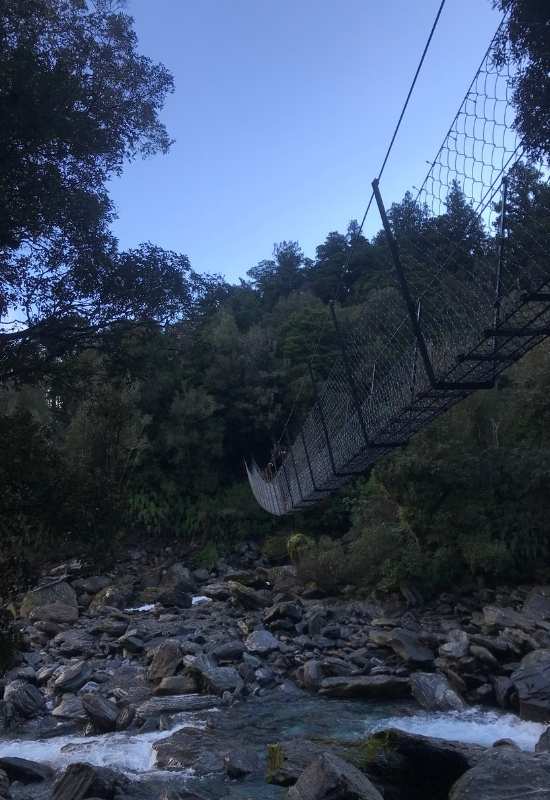 Copland Track to Welcome Flat Hut near Fox Glacier - West Coast Walks (3)