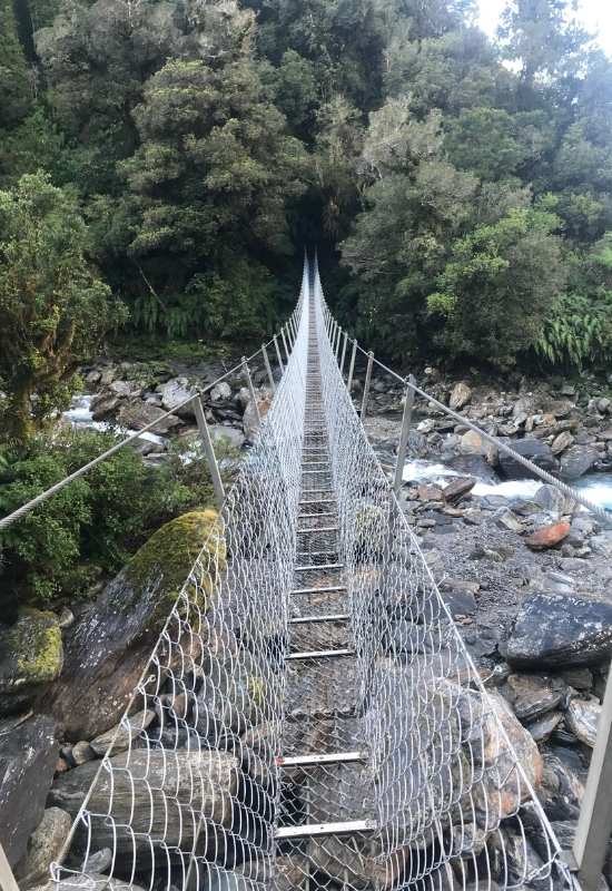 Copland Track to Welcome Flat Hut near Fox Glacier - West Coast Walks (3)