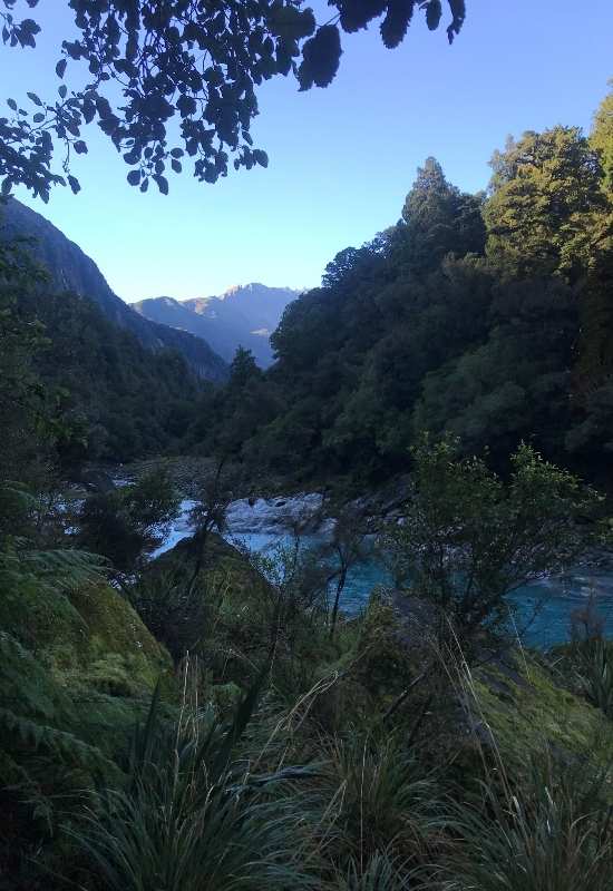 Copland Track to Welcome Flat Hut near Fox Glacier - West Coast Walks (3)