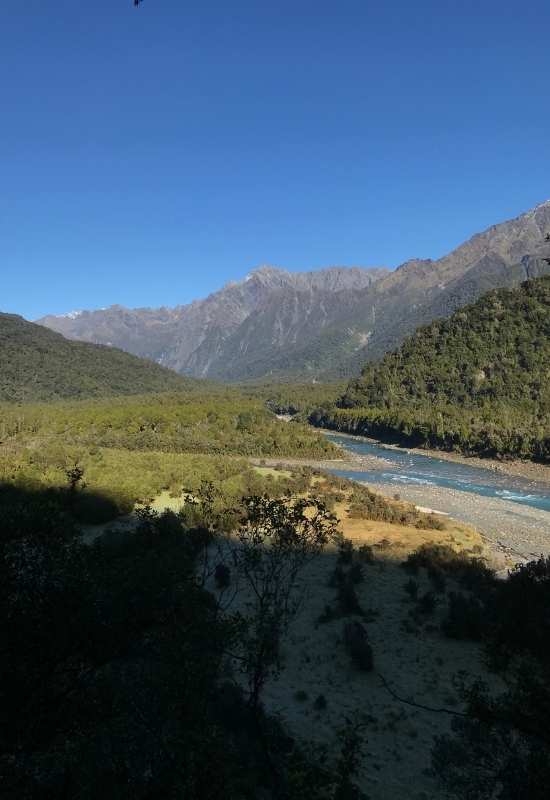 Copland Track to Welcome Flat Hut near Fox Glacier - West Coast Walks (3)