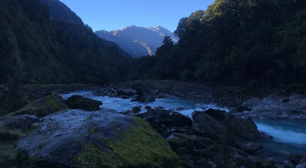 Rivers along the Copland Track to Welcome Flat Hut - Fox Glacier - West Coast Walk - Freewalks.nz (3)