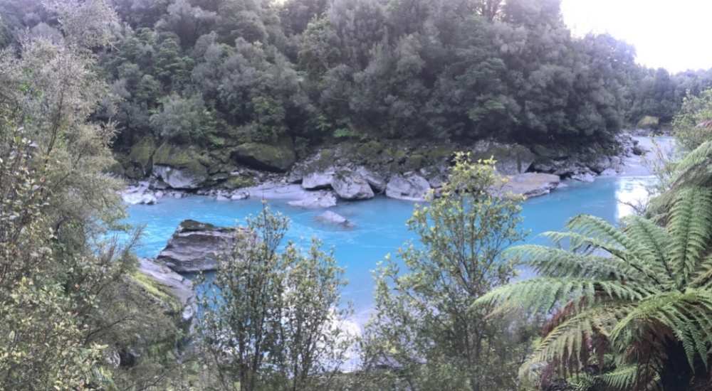 Rivers along the Copland Track to Welcome Flat Hut - Fox Glacier - West Coast Walk - Freewalks.nz (4)