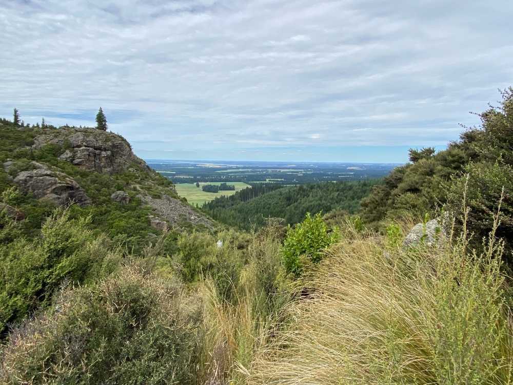 Views out to Canterbury Plains on Washpen Falls walk - Mt Oxford Walks - Freewalks.nz