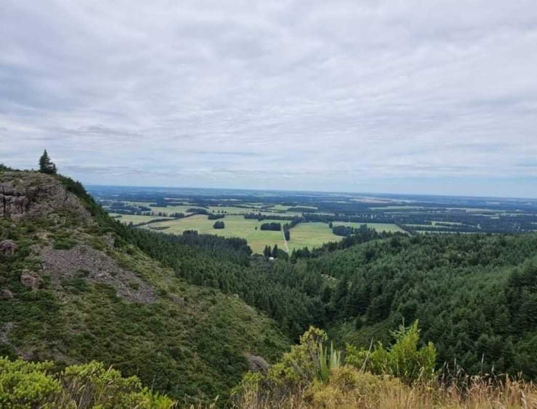 Washpen Falls Adventure Walk - Mt Oxford Walks - Freewalks.nz (8)