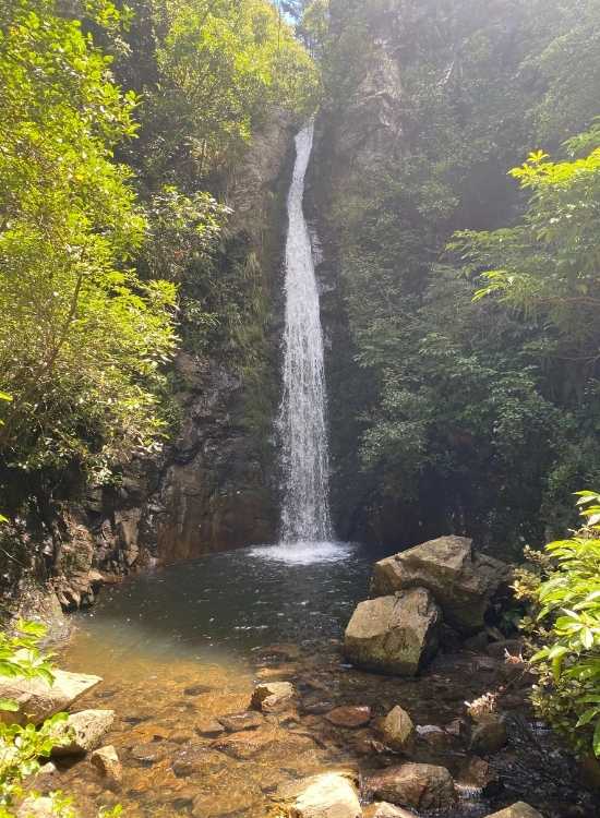 Washpen Falls and the lake house - Mt Oxford Walks - Freewalks.nz (1)