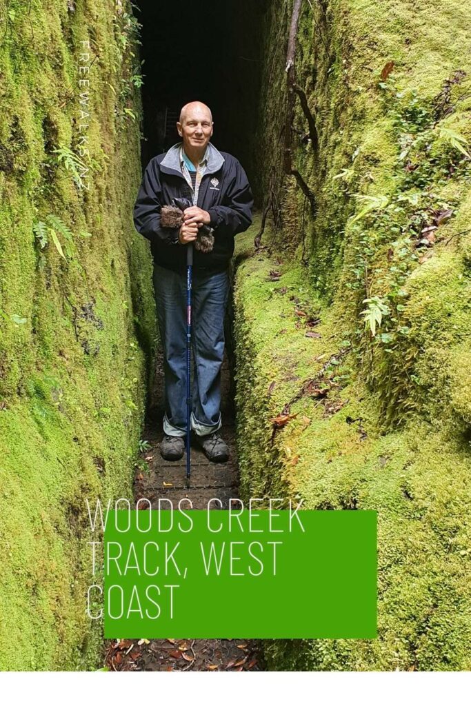 Woods Creek Track Greymouth Walks Freewalks.nz