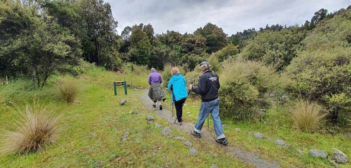 Woods Creek Track - Short West Coast Walk - Freewalks.nz