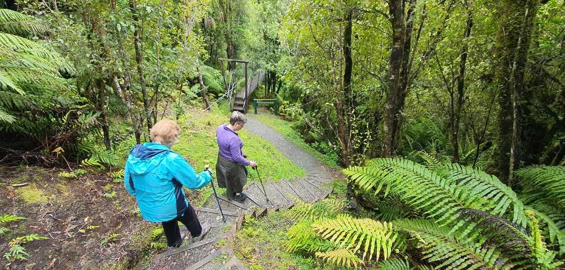 Woods Creek Track - Short West Coast Walk - Freewalks.nz