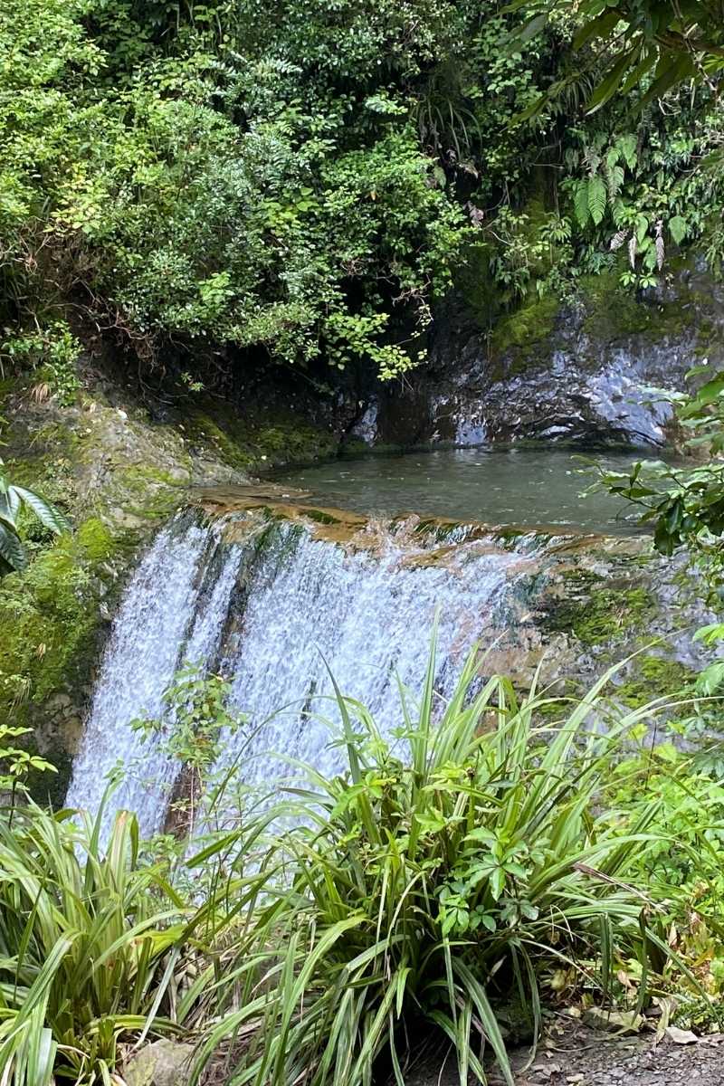 Arriving at the Ryde Falls in Mt Oxford, South Island, NZ - Freewalks.nz