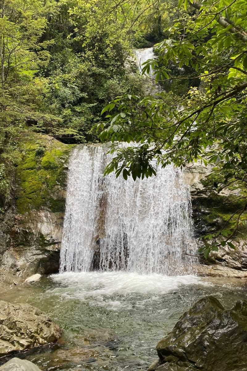 Arriving at the Ryde Falls in Mt Oxford, South Island, NZ - Freewalks.nz