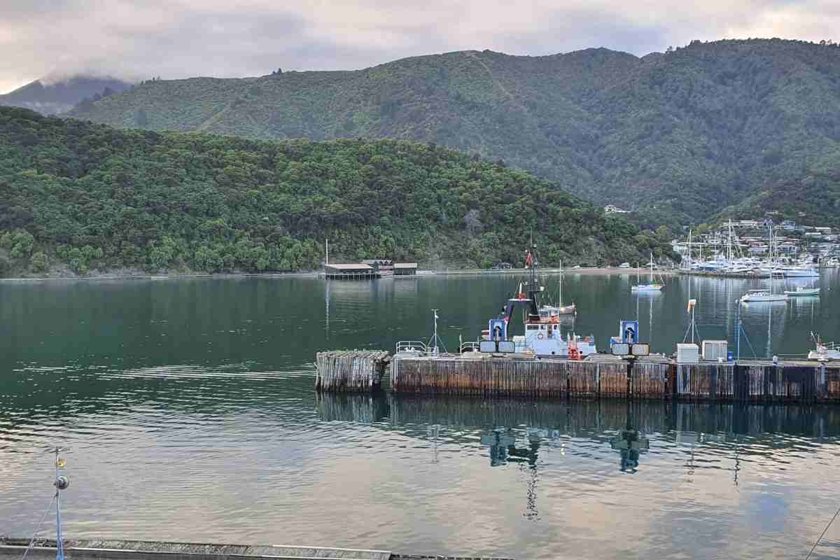 View of the boat shed from the Bluebridge Ferry in Picton