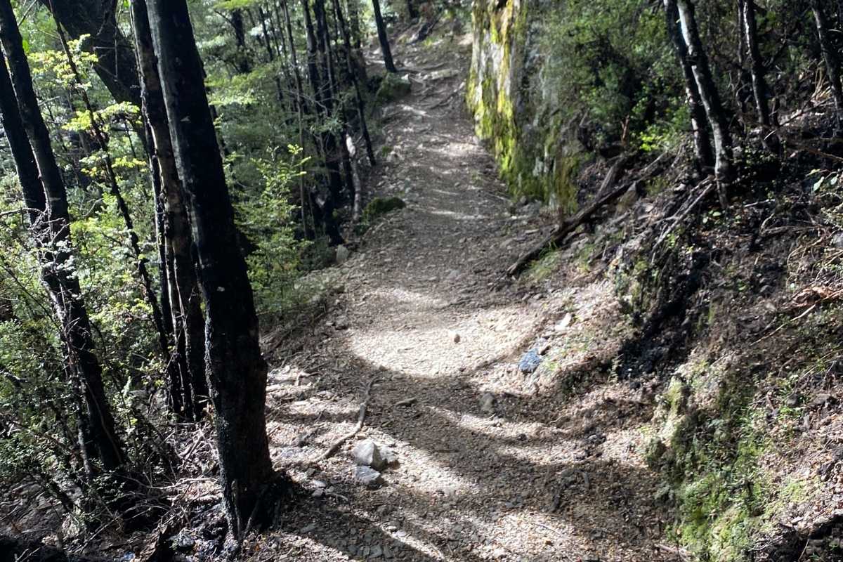 Historical railway signage and Beech forest tracks to Ryde Falls in Mt Oxford, South Island