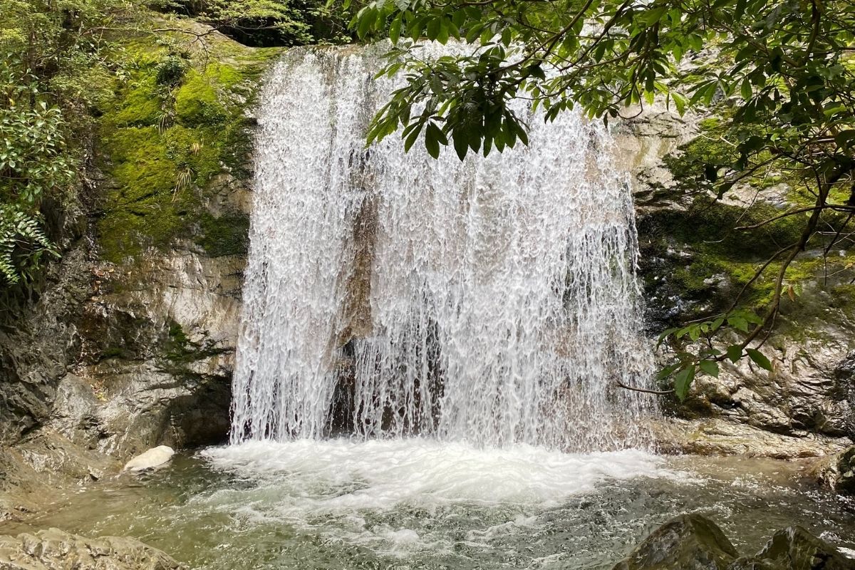 Ryde Falls in Mt Oxford, South Island, NZ - Freewalks.nz