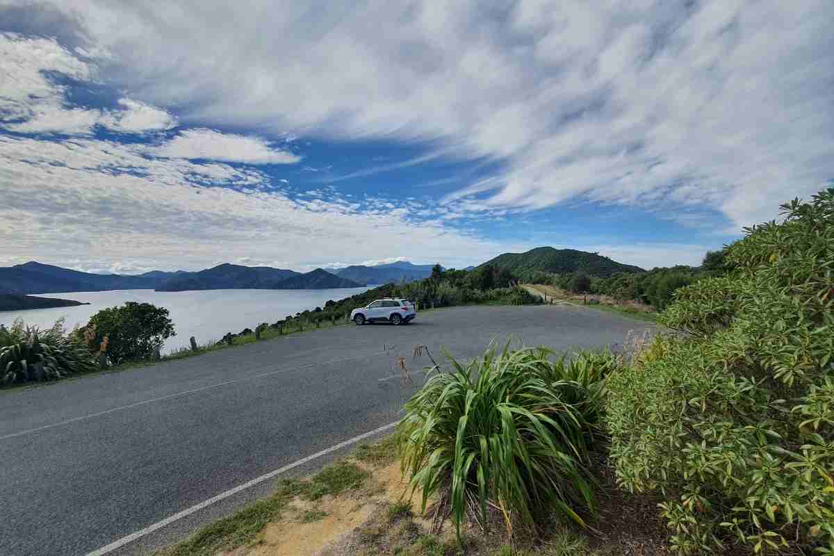 Snout Track carpark in Picton - Freewalks.nz