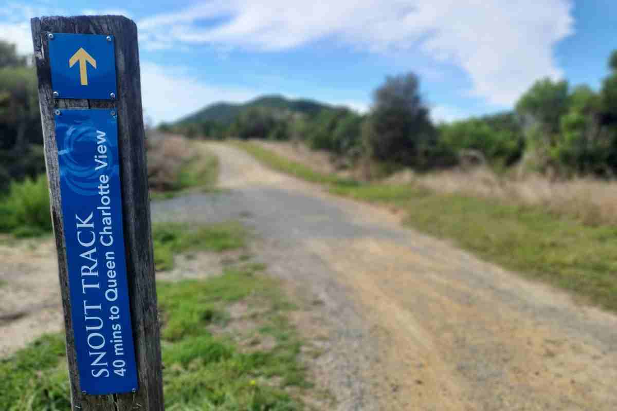 Snout Track carpark in Picton - Freewalks.nz