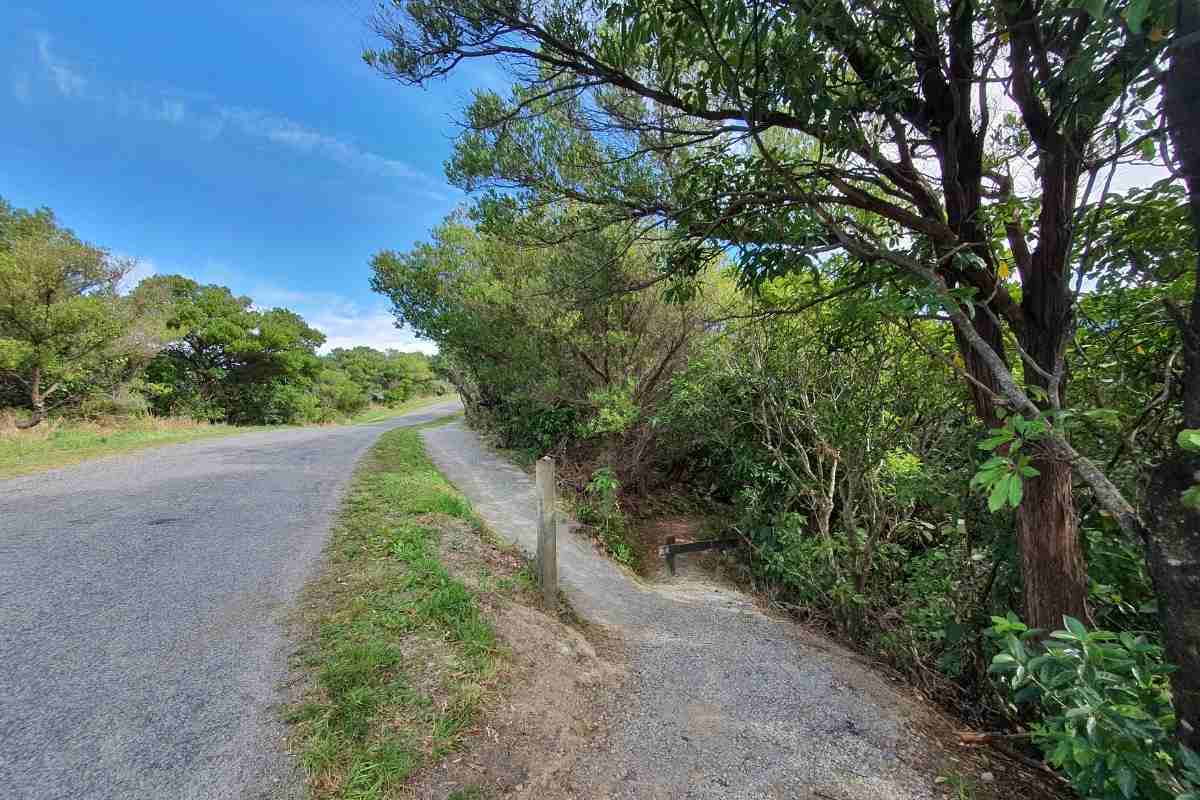 Snout Track carpark in Picton - Freewalks.nz (3)