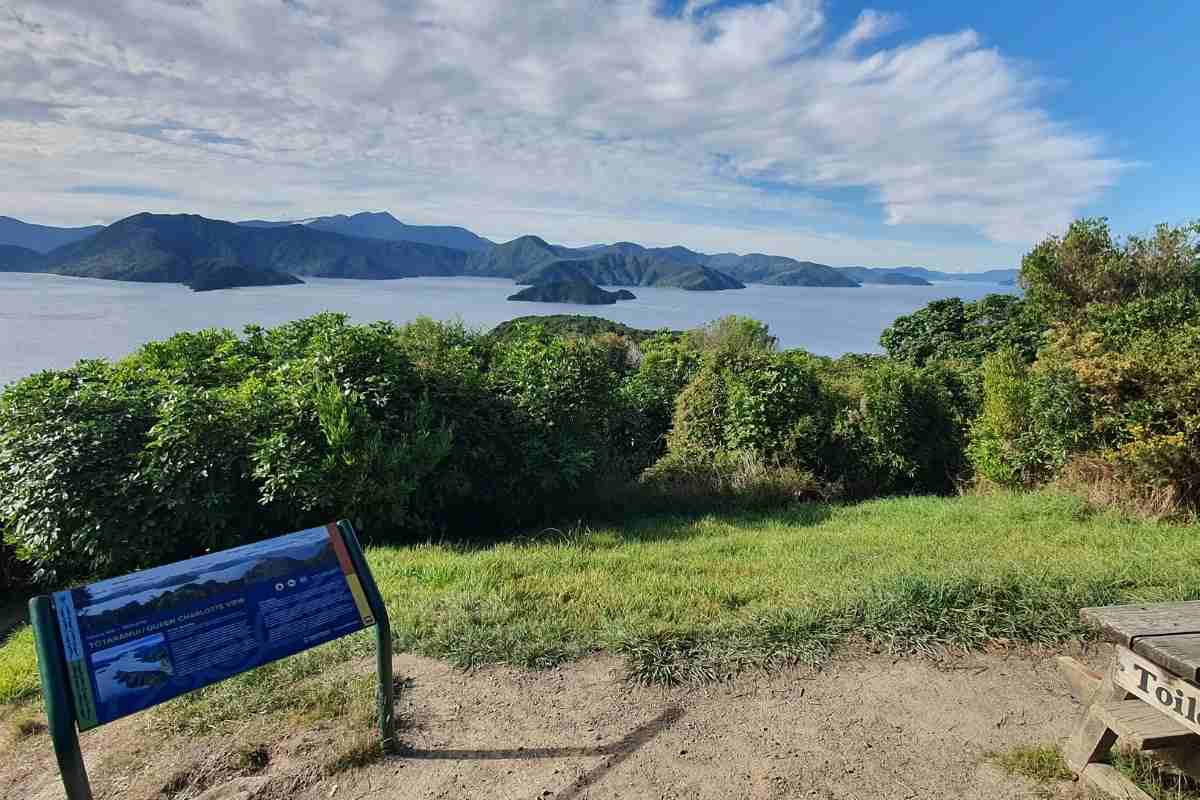 Snout Track from the carpark to Queen Charlotte View in Picton - Freewalks.nz
