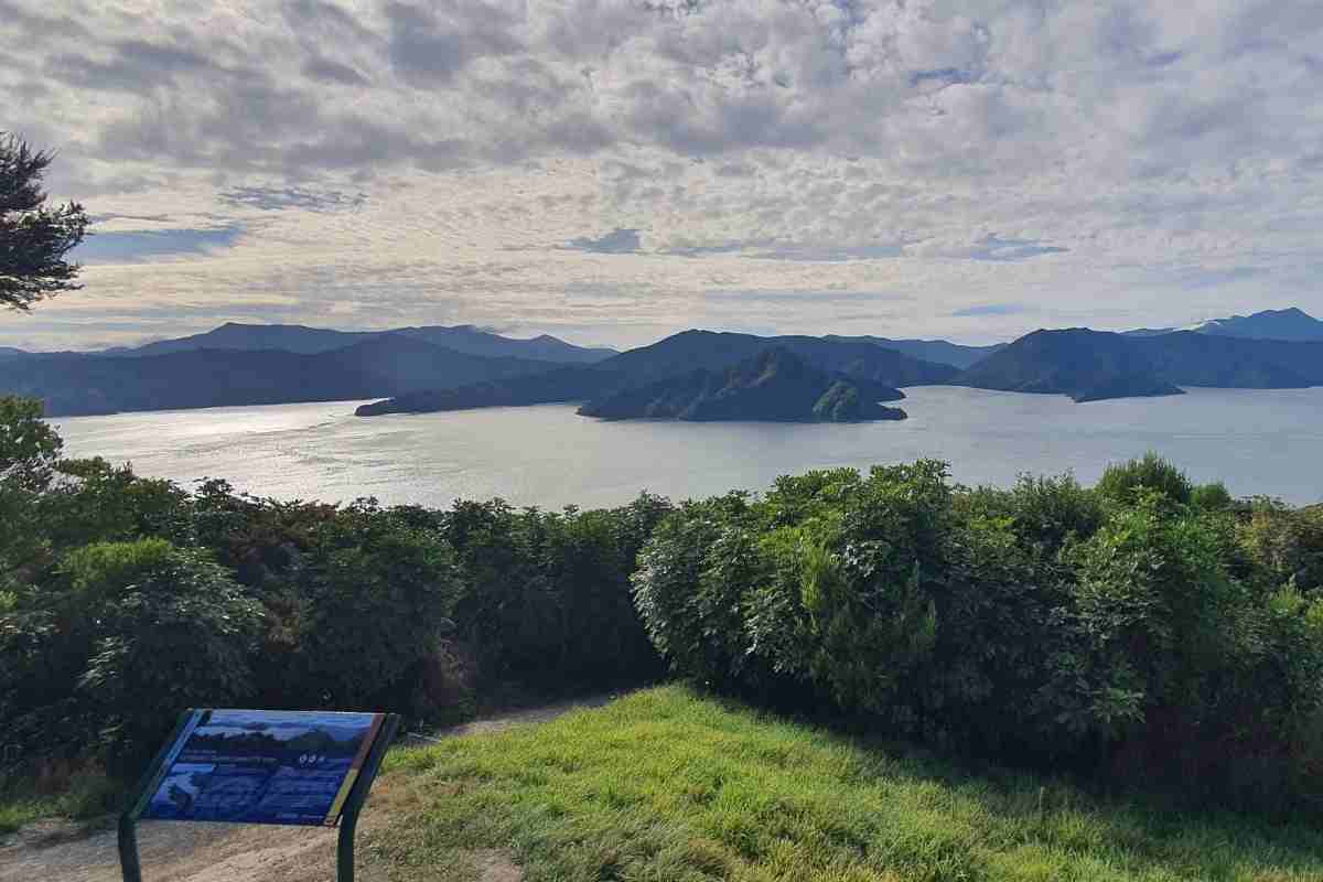 Snout Track from the carpark to Queen Charlotte View in Picton - Freewalks.nz