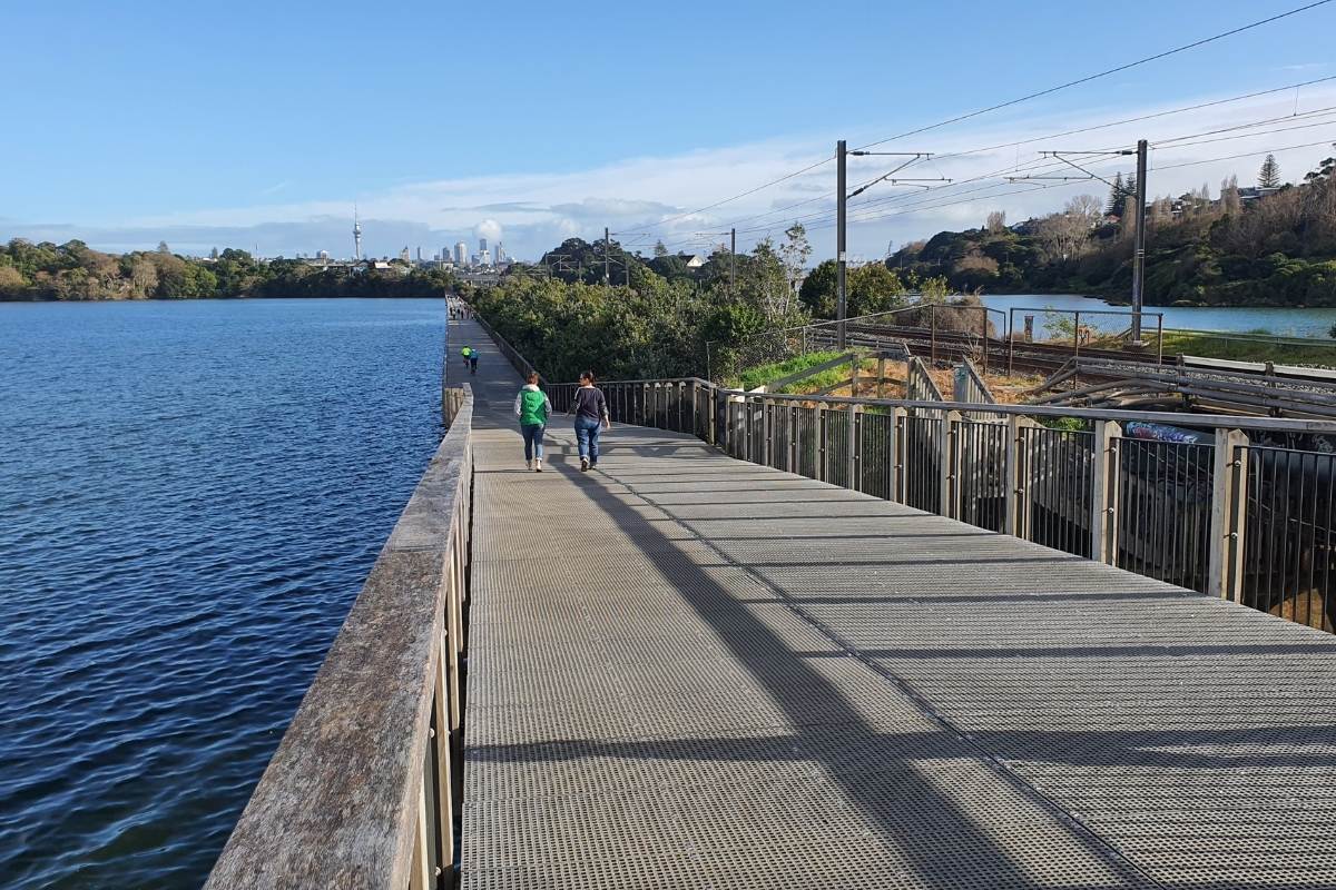 Big wide boardwalk at the start of the Orakei Basin Loop Path in Auckland by Freewalks.nz