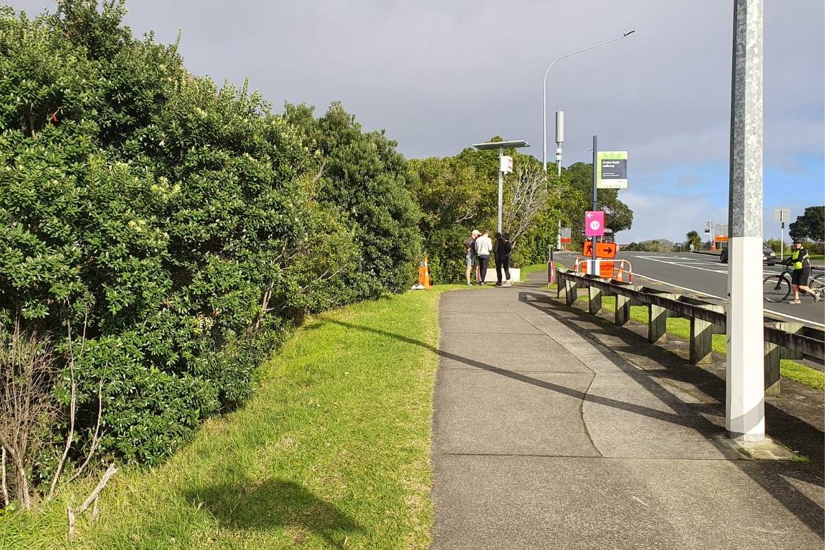 Footpath along side the road before heading around Orakei Basin Loop Path in Auckland by Freewalks.nz