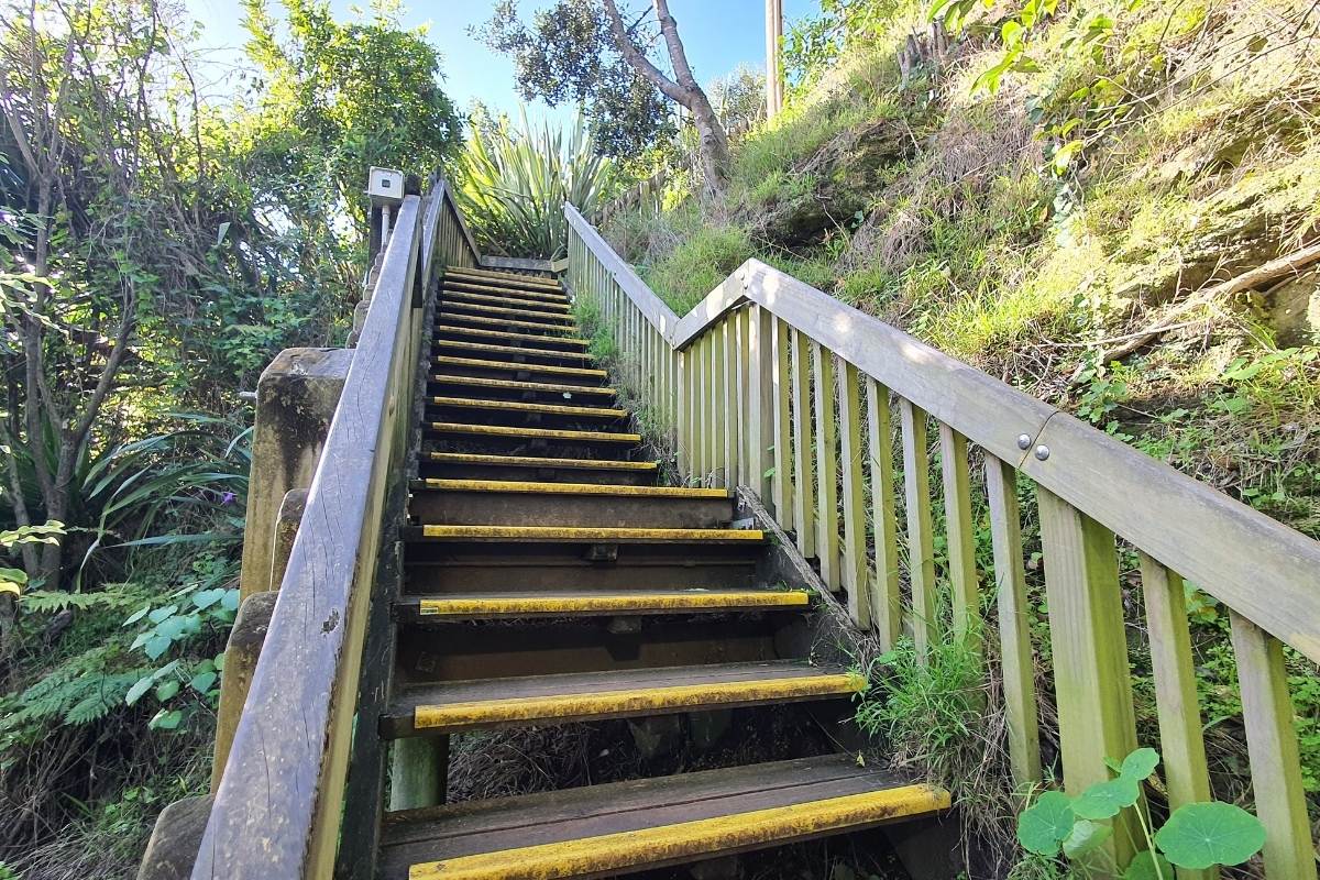 Steep steps up to the road on the Orakei Basin Loop Path in Auckland by Freewalks.nz
