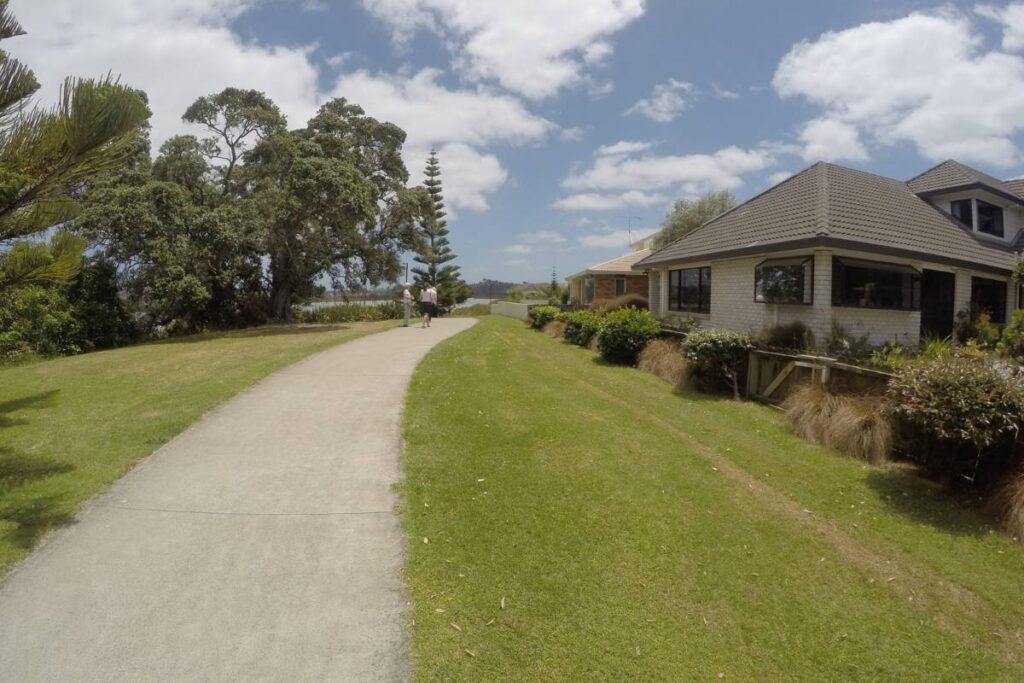 Typical path view on the Te Ara Tahuna - Ōrewa Estuary Path just out of Auckland by Freewalks nz