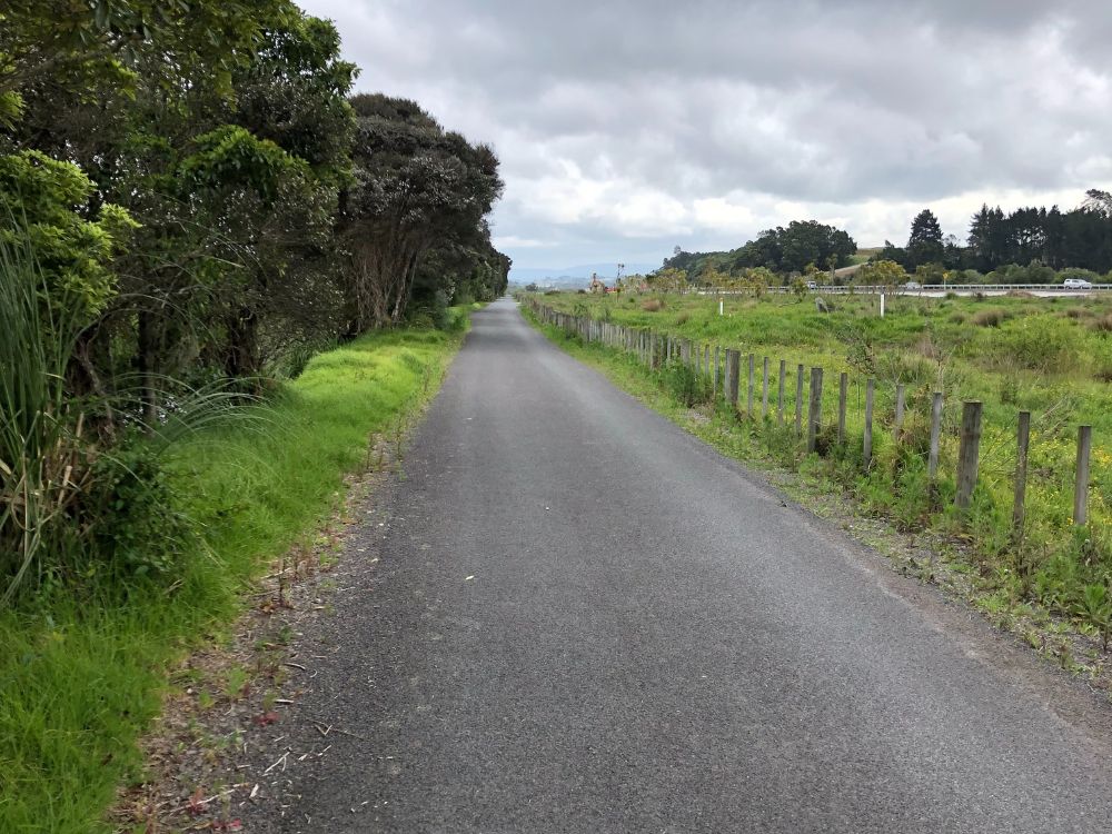 Main road on the Kopurererua Valley Walkway by Olly from Freewalks.nz