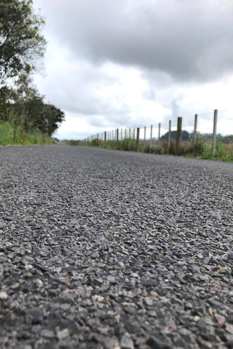The road on the Kopurererua Valley Walkway in Tauranga by Olly from Freewalks.nz