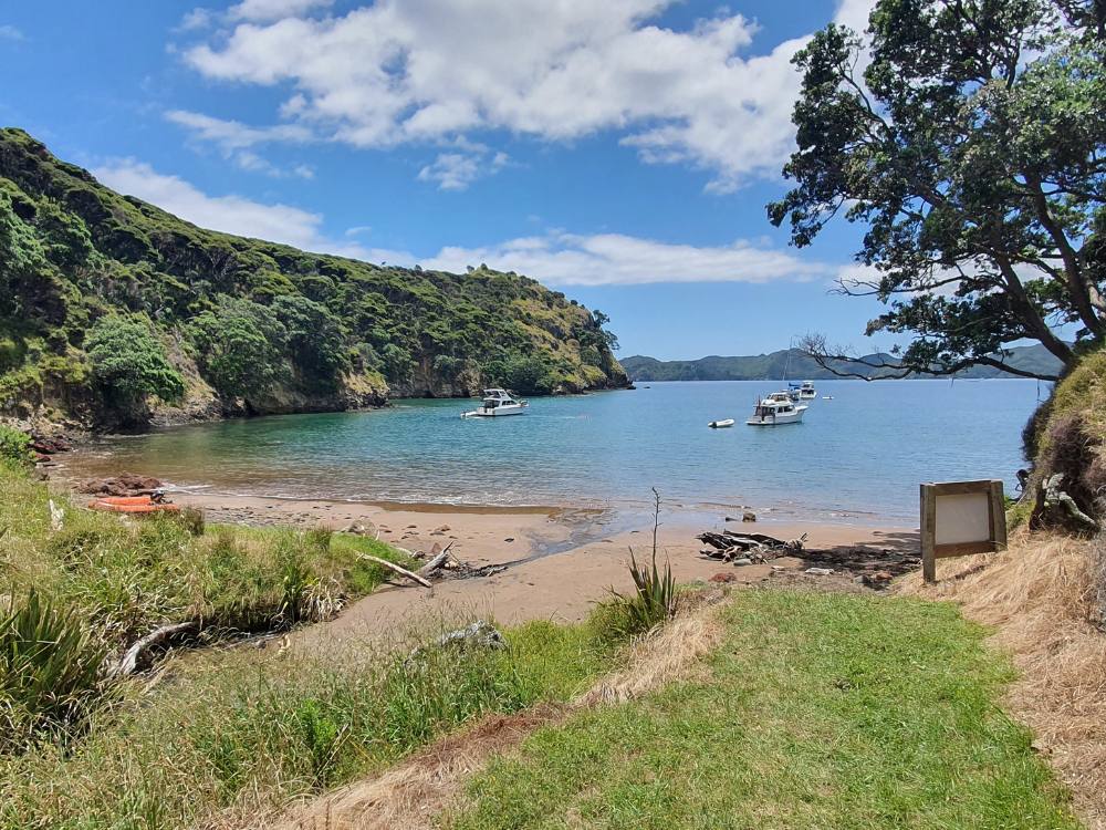 Beach landing at the start of the Motu Kaikoura Track or Man O War Passagewalk on Great Barrier Island by Sandra from Freewalks.nz New Zealand