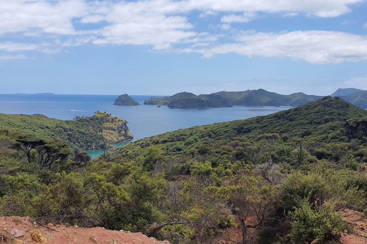 Great views on the Motu Kaikoura Track or Man O War Passage walk on Great Barrier Island by Sandra from Freewalks.nz New Zealand