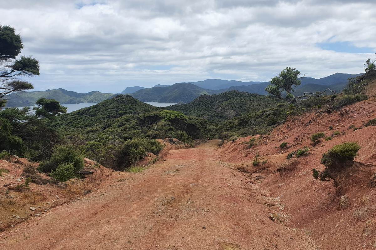 Near the top of Motu Kaikoura Track or Man O War Passage walk on Great Barrier Island by Sandra from Freewalks.nz New Zealand