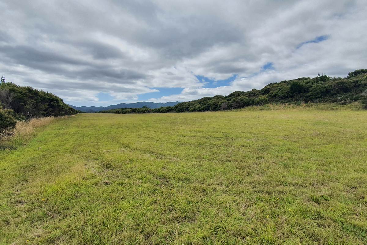 Working airstrip on the summit of Motu Kaikoura Track or Man O War Passage walk on Great Barrier Island by Sandra from Freewalks.nz New Zealand