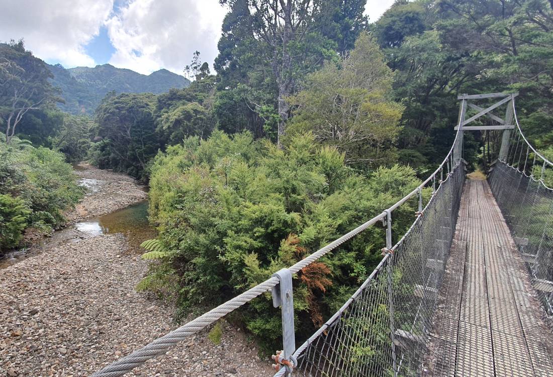 Another swing bridge on the Mt Hobson walk on Great Barrier Island by Sandra from Freewalks.nz New Zealand