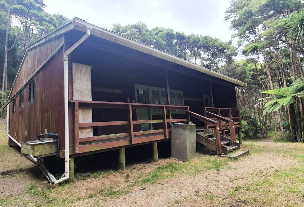 Mt Hobson Summit Loop Track on Great Barrier Island Freewalks.nz